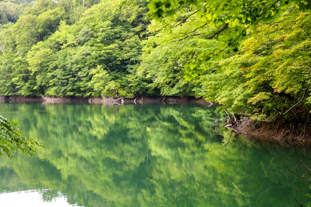 青森県の十二湖で青池から紅葉まで楽しく巡ってみよう！