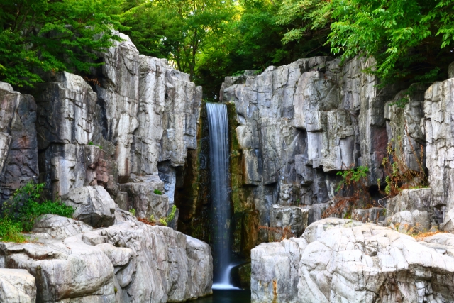 岐阜県の河川環境楽園でオアシスパークや木曽川水園を楽しもう！