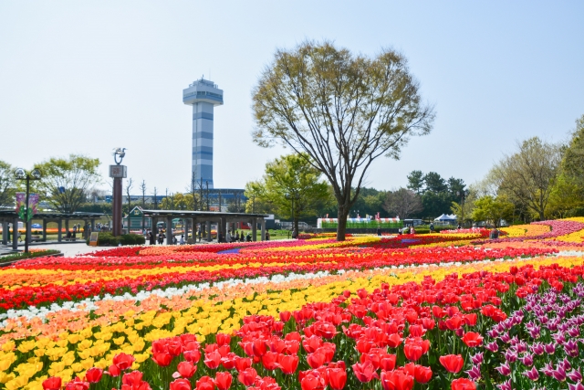 岐阜県の国営木曽三川公園で138タワーパークやイベントをご紹介