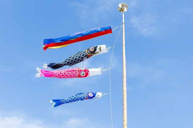 福岡県・遠賀川で菜の花やコスモスを満喫しよう！イベントもご紹介！