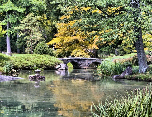 神奈川県の横浜公園でチューリップや日本庭園を楽しく巡ろう！