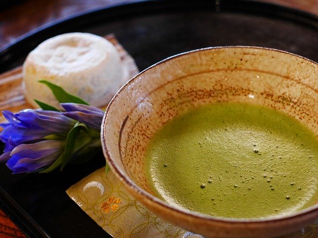 愛知県・白鳥庭園のイベントとは？ランチやカフェまで満喫しよう！