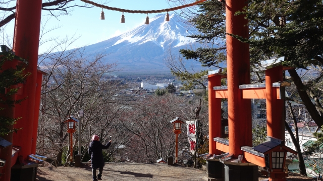 山梨県の新倉山浅間公園で桜から富士山まで楽しく巡ってみよう！