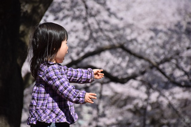 山梨県の八代ふるさと公園で滑り台から桜まで満喫しよう！